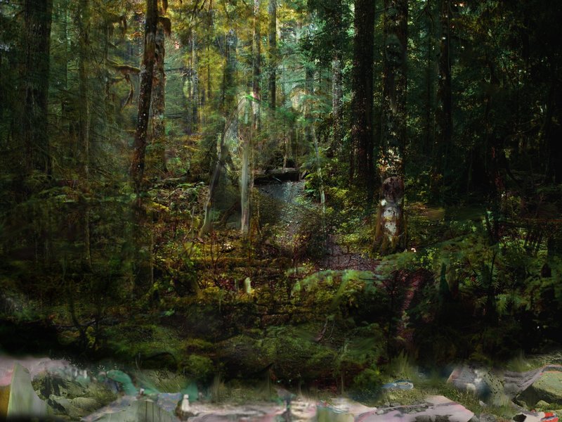 Alex Fischer, Untitled Greens, 2010, 15×20″ / 381×508㎜, print